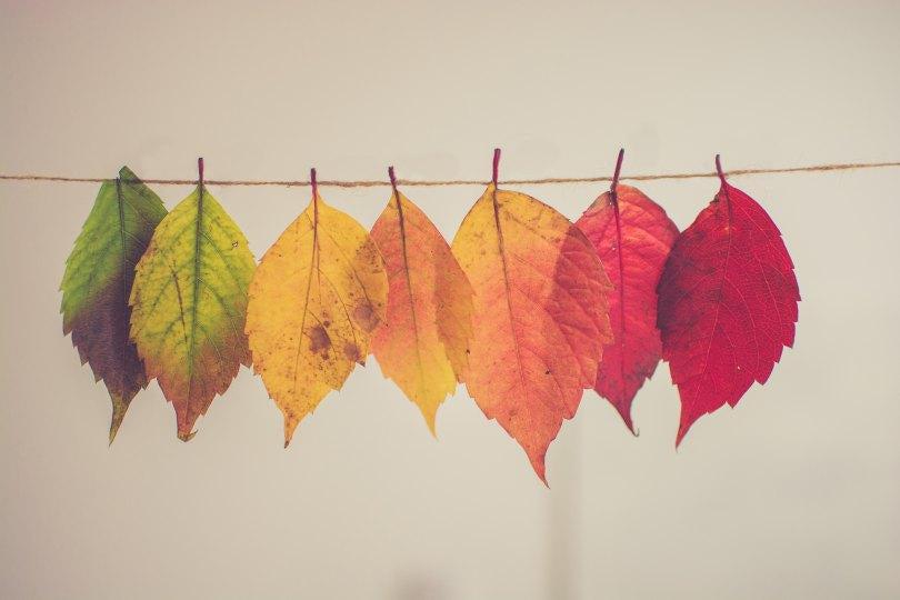 Easing Into Autumn: Playlist