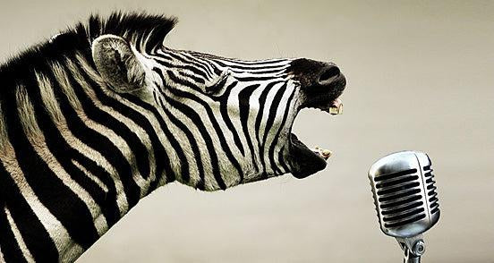 Playlist: Safari