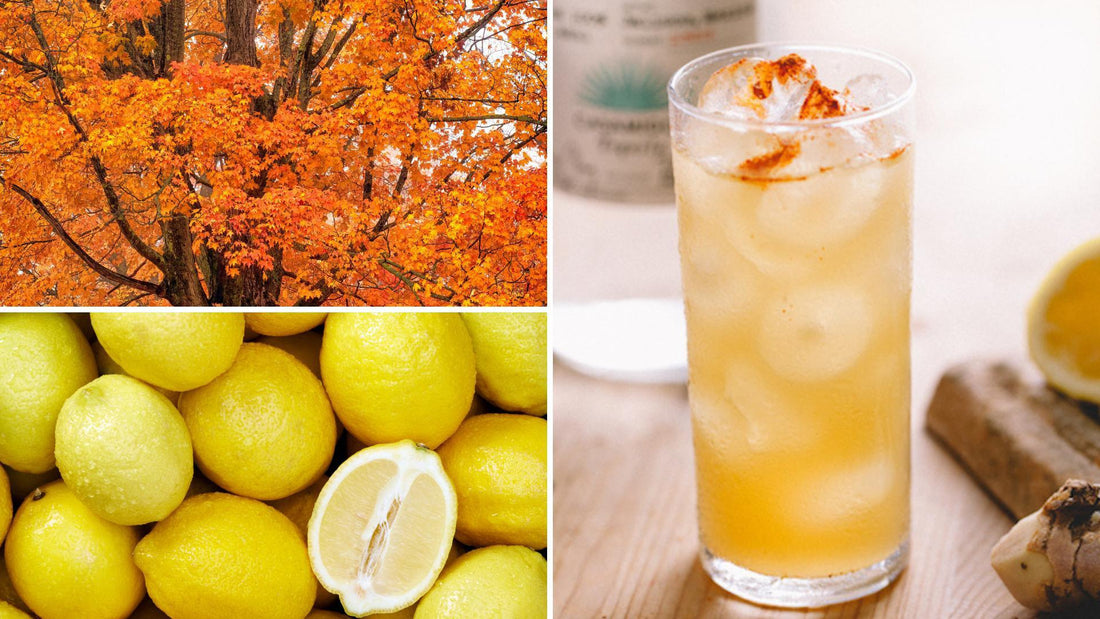 Sip of the Month: The Fighter