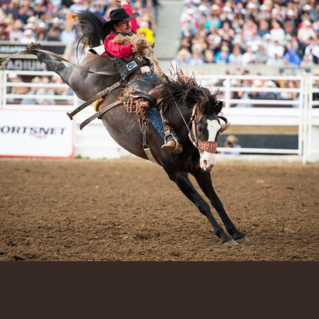 12 Days, 6 Stops, 12 HC Pieces: From Glacier Views to the Calgary Stampede