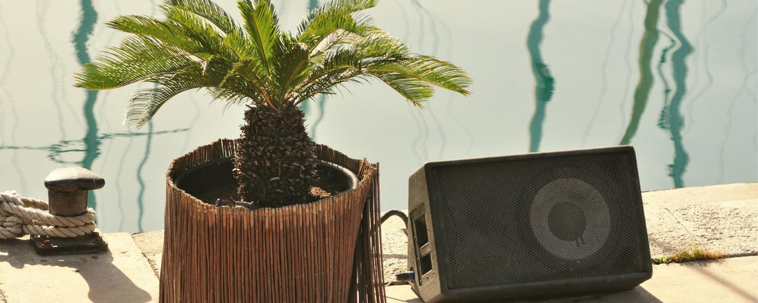Playlist: Soft Summer Breeze