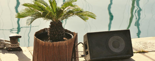 Playlist: Soft Summer Breeze