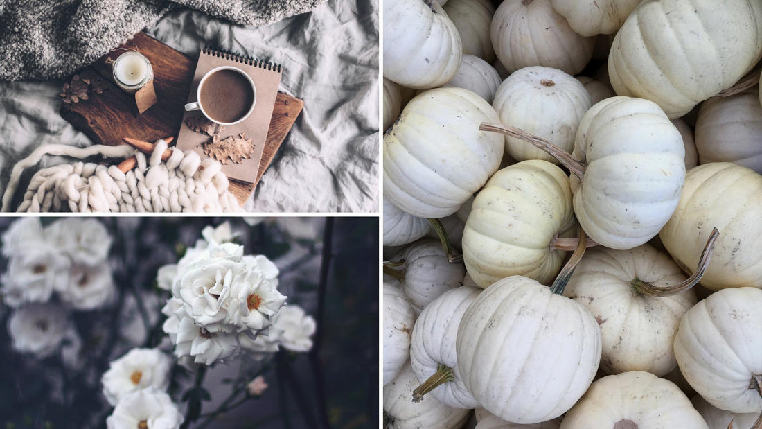 Playlist: Fall Days