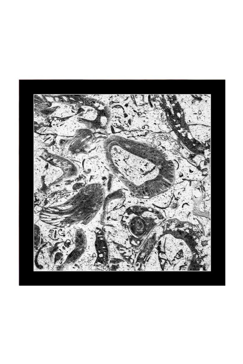 Oversized Square Italian Cashmere Blend Scarf - Fossils - Israel - Helene Clarkson Design
