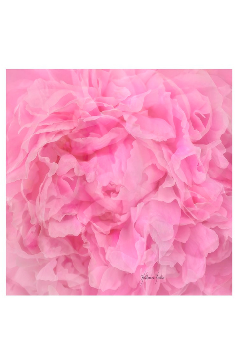 Oversized Square Italian Cashmere Blend Scarf - Peony, Canada - Helene Clarkson Design