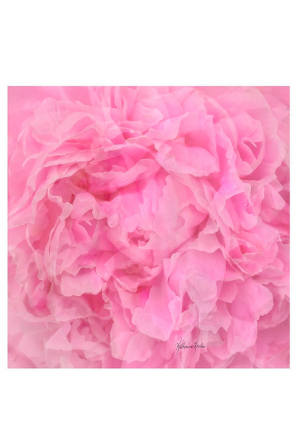 Oversized Square Italian Cashmere Blend Scarf - Peony, Canada - Helene Clarkson Design