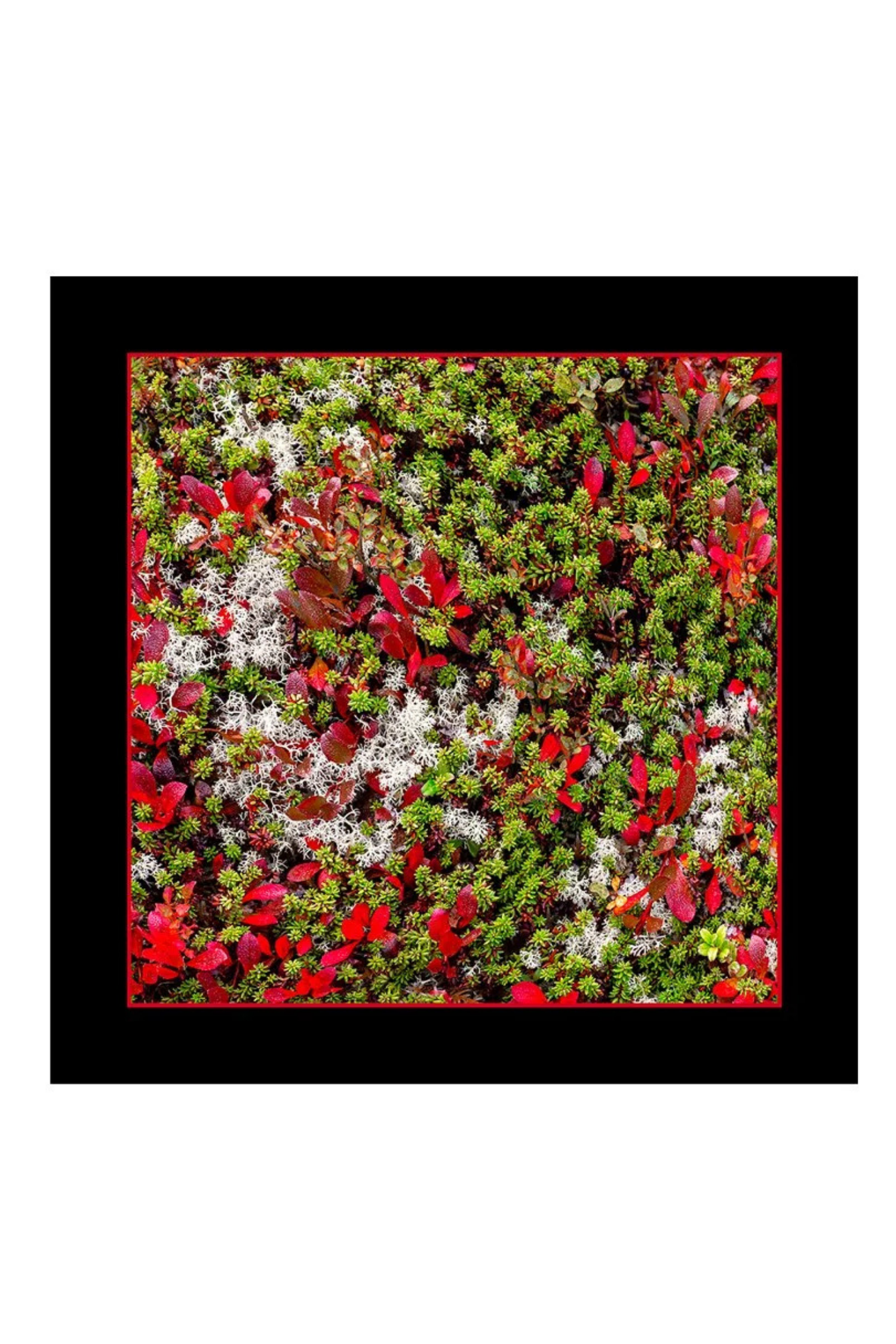 Oversized Square Italian Cashmere Blend Scarf - Tundra - Yukon - Helene Clarkson Design