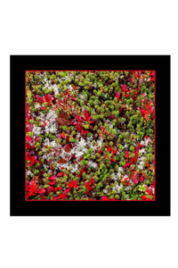 Oversized Square Italian Cashmere Blend Scarf - Tundra - Yukon - Helene Clarkson Design